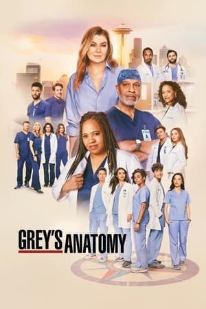 Grey's Anatomy TV show poster